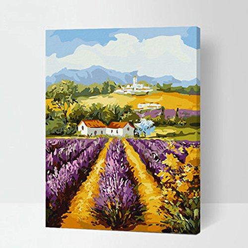 MADE4U [ Gradens Series ] [ 20" ] [ Wood Framed ] Paint By Numbers Kit with Brushes and Paints (The field of Provence G309)