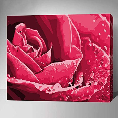 Made4u [ 20" ] [ Wood Framed ] Paint By Numbers Kit for Adult (Rose G254)